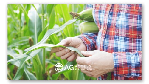 AG PULSE: THE CHALLENGE OF SIMULTANEOUS FALLING COMMODITY PRICES AND INCREASING INPUT COSTS
