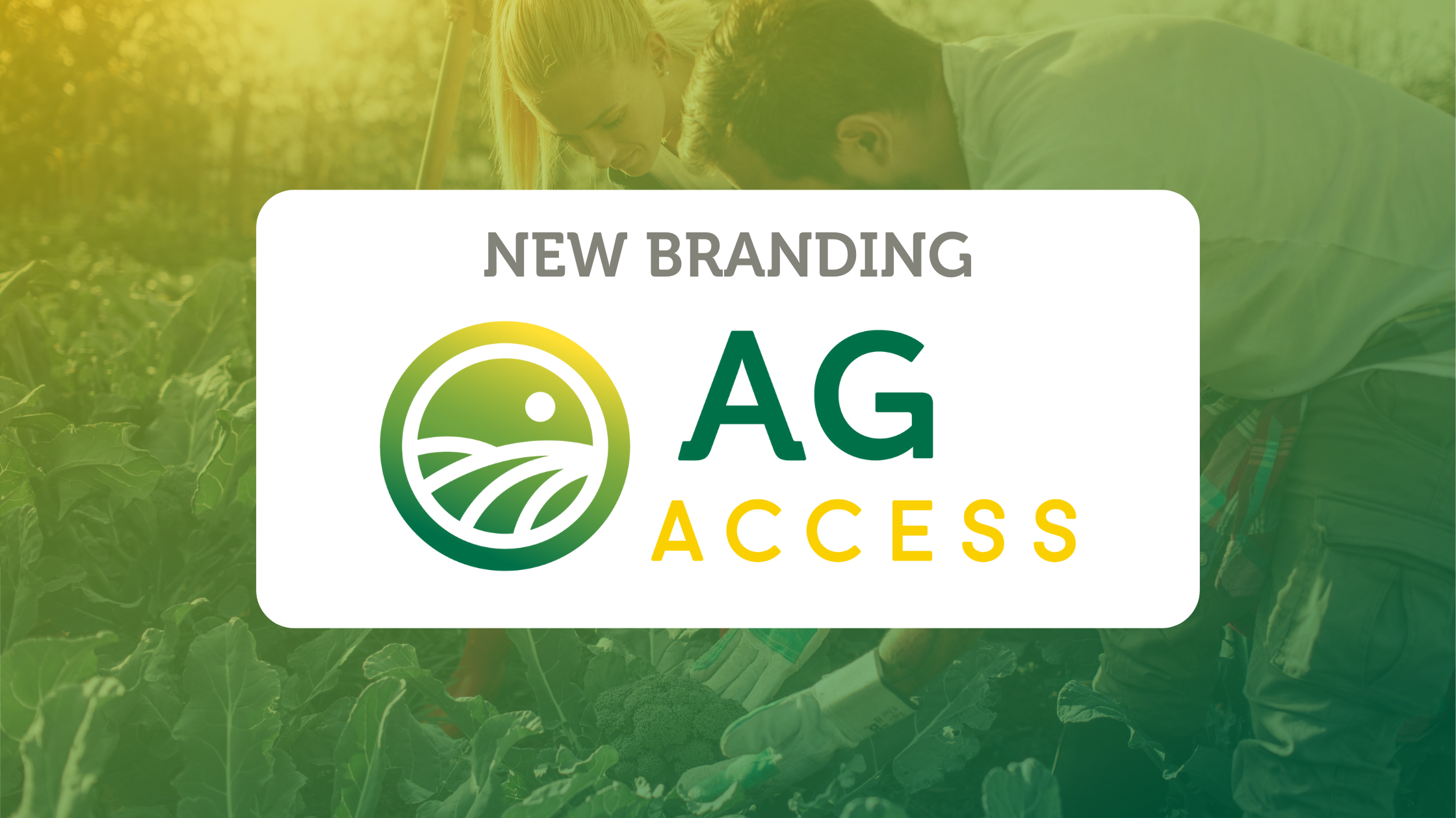 New Branding for Ag Access