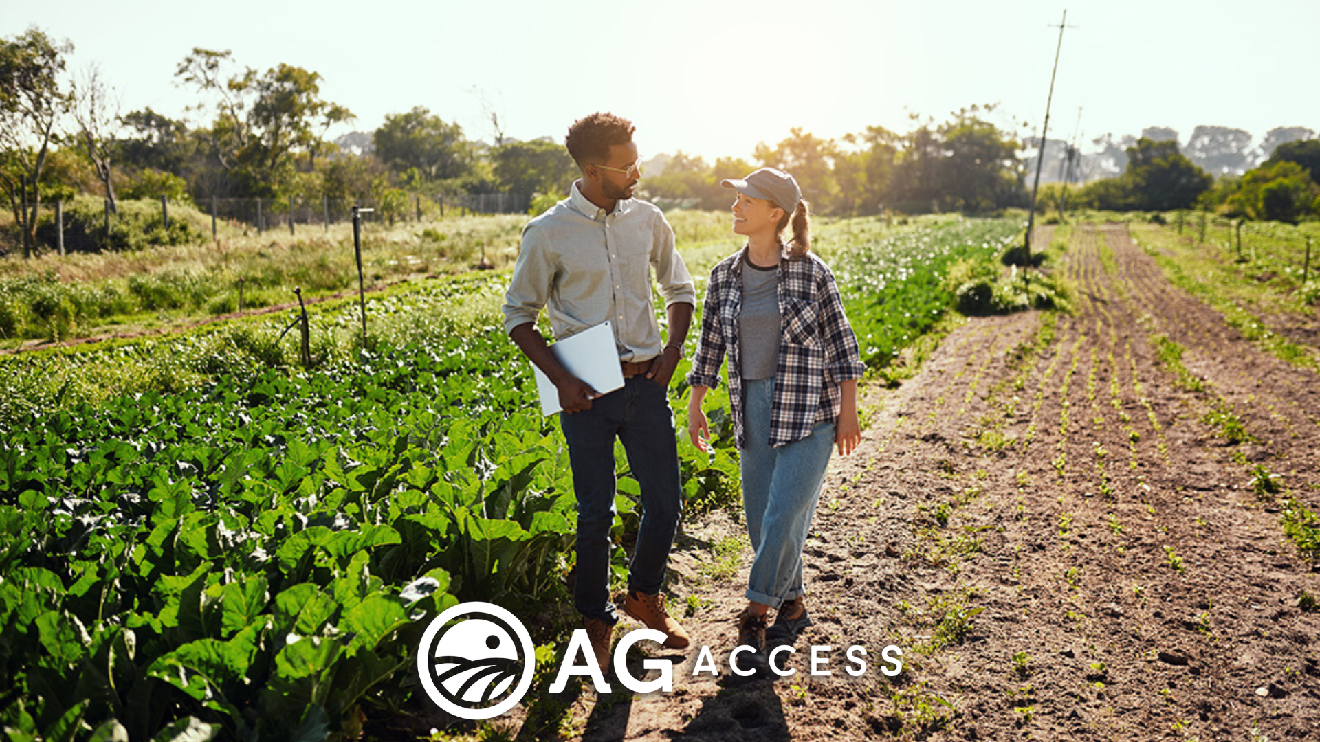 agricultural professionals walking through a farm field