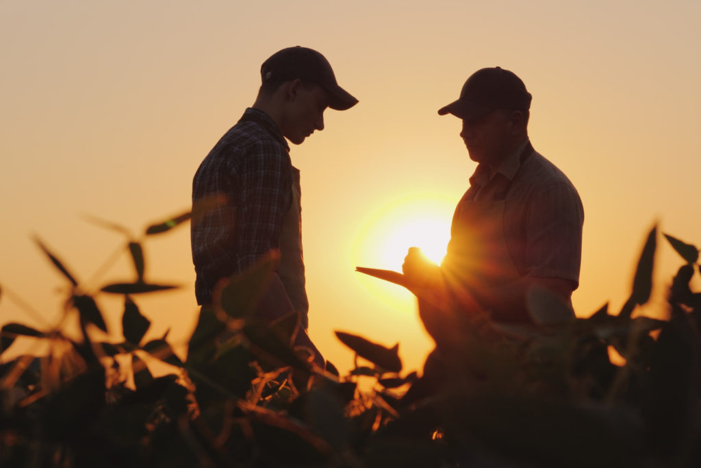 Two farmers talk in a field about farmer focus groups